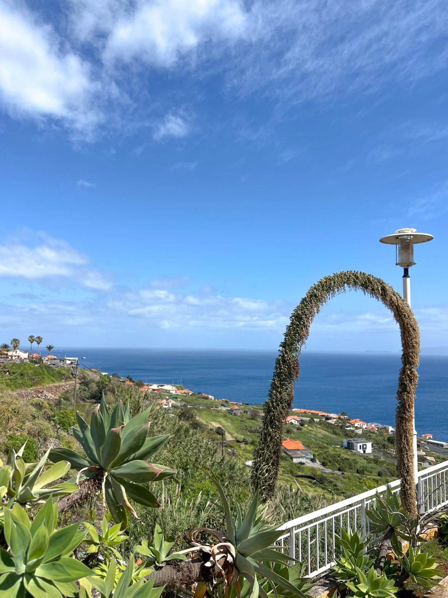 The Pink - Holidays In Madeira Island * Caniço